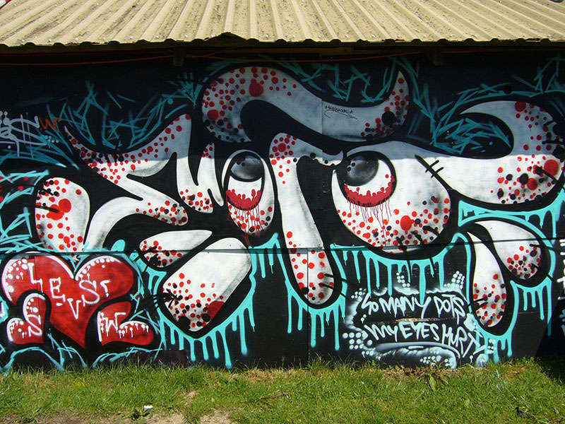 %_tempFileName(0000-00-00%2000-00-00)Panasonic%20DMC-FX8%20(2560x1920)2311296%