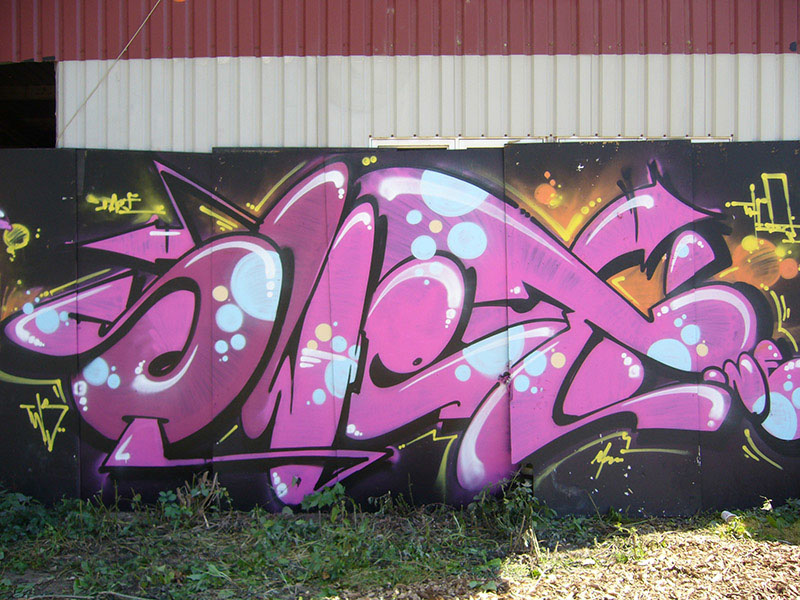 %_tempFileName(0000-00-00%2000-00-00)Panasonic%20DMC-FX8%20(2560x1920)2428800%